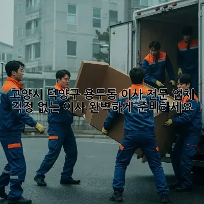 고양시 덕양구 용두동 이사 전문 업체: 걱정 없는 이사, 완벽하게 준비하세요!