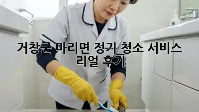 거창군 마리면🏠 정기 청소 서비스 리얼 후기 💯