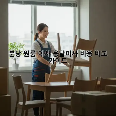 분당 원룸 이사, 용달이사 비용 비교 가이드