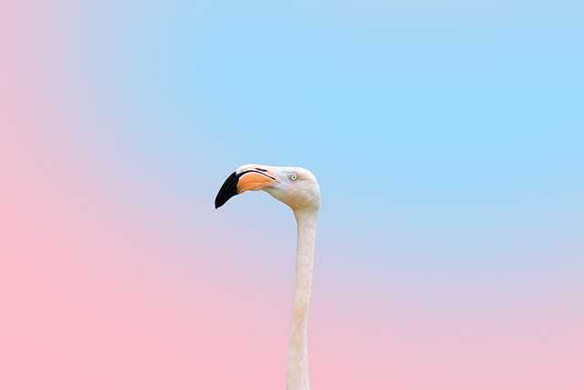 오일파스텔정규001.jpg